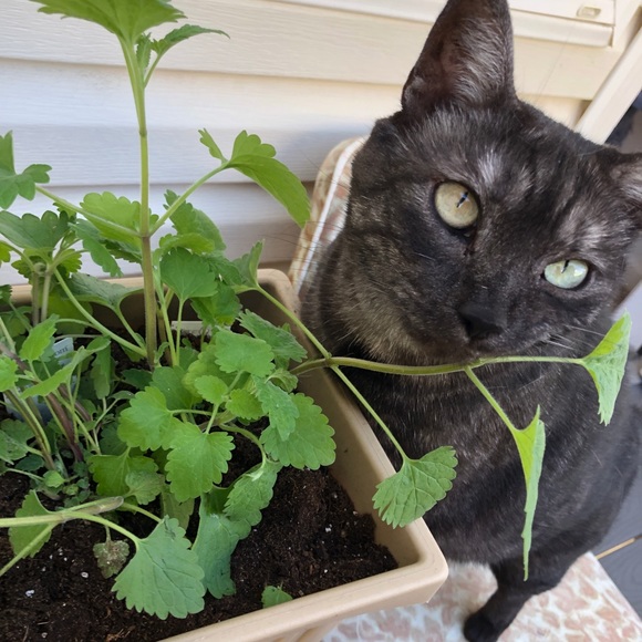 Meet your seller - Picture 2 of 4